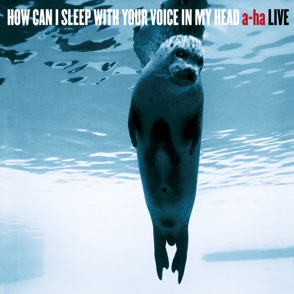 THE LIVING IN DAYLIGHTS - A HA
