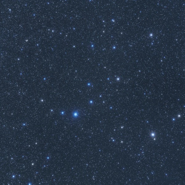 QUATTRO INVERNI - ARIETE