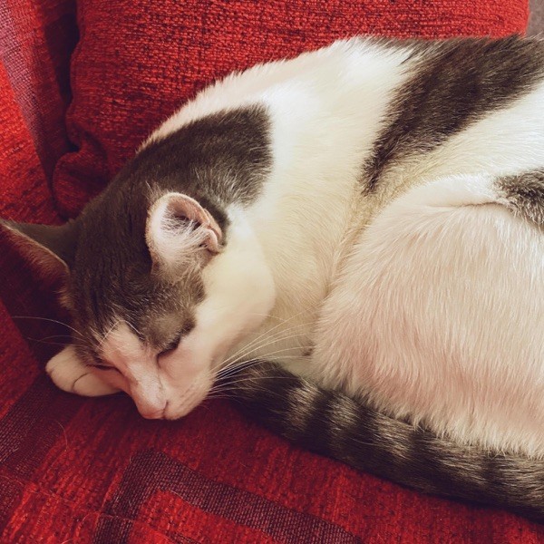 MI FAI IMPAZZIRE - BLANCO & SFERA EBBASTA