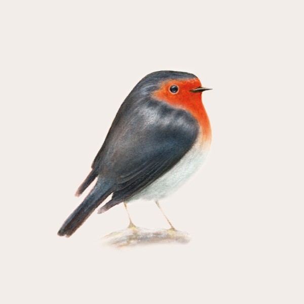 PER DUE CHE COME NOI - BRUNORI SAS