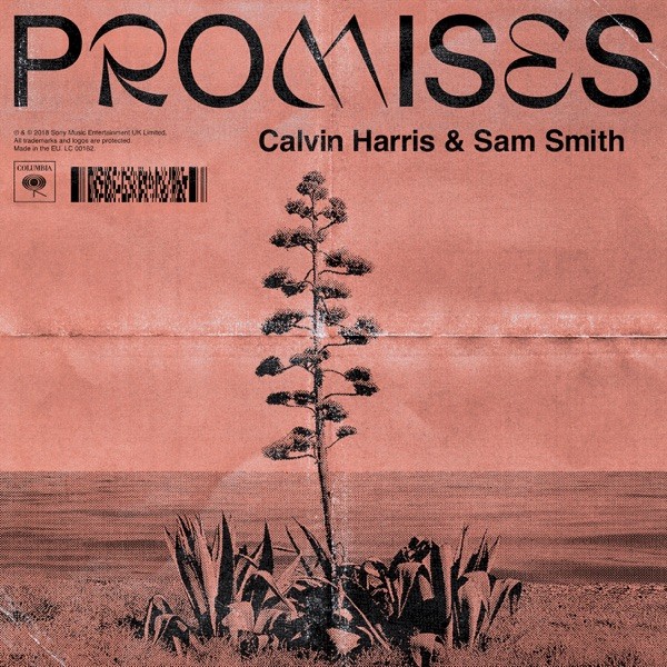 PROMISES - CALVIN HARRIS & SAM SMITH