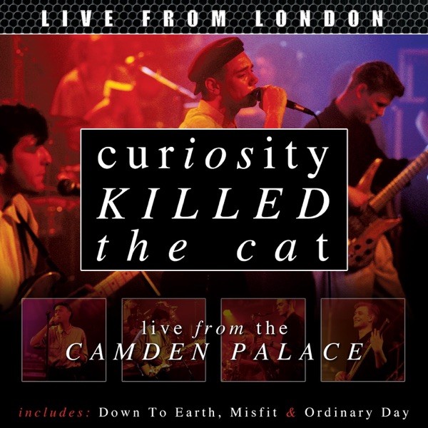 ORDINARY DAY - CURIOSITY KILLED THE CAT
