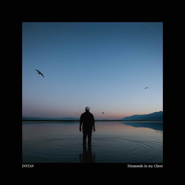 DIAMONDS IN MY CHEST