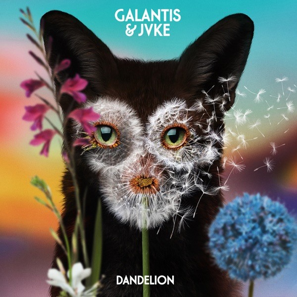 DANDELION - GALANTIS & JVKE