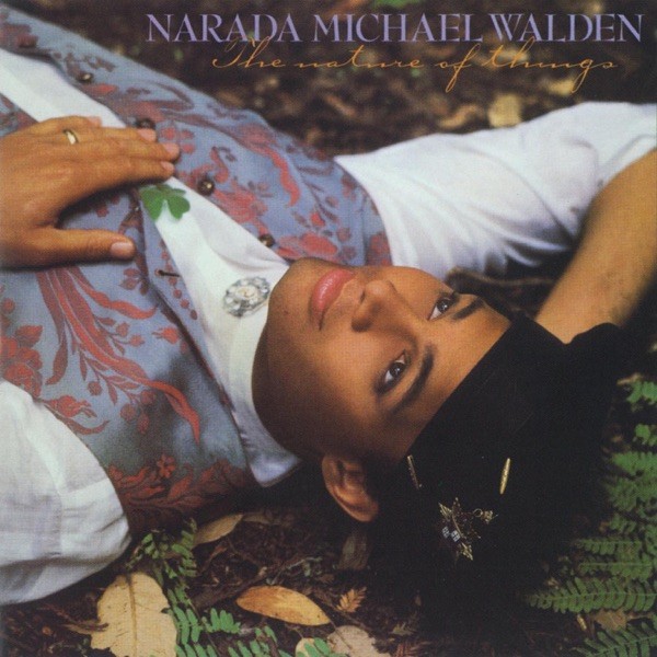 GIMME GIMME GIMME - NARADA MICHAEL WALDEN