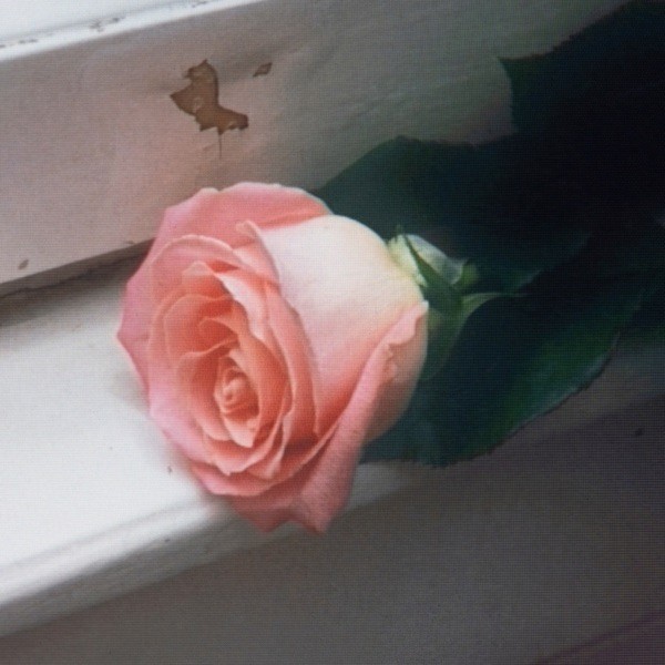 FEEL EVERYTHING - PLANET FUNK