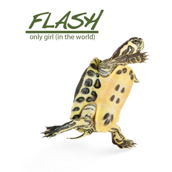 ONLY GIRL (IN THE WORLD)