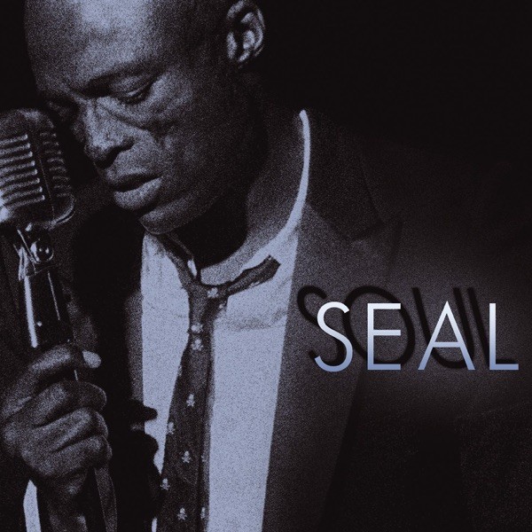 I CAN'T STAND THE RAIN - SEAL