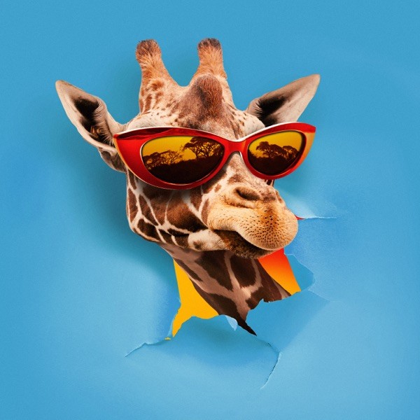 JAMBO - TAKAGI & KETRA OMI & GIUSY FERRERI