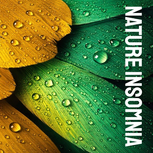 WHO ARE YOU - THE WHO