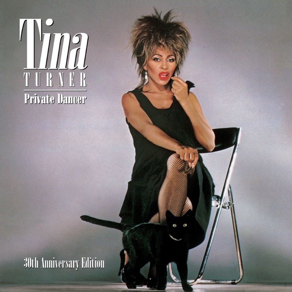 WE DON'T NEED ANOTHER HERO - TINA TURNER